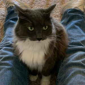 Meet your Posher, Adam